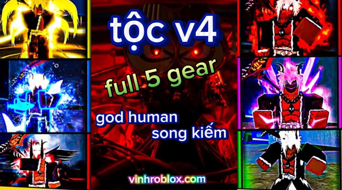 Acc V4 Full 5 Gear